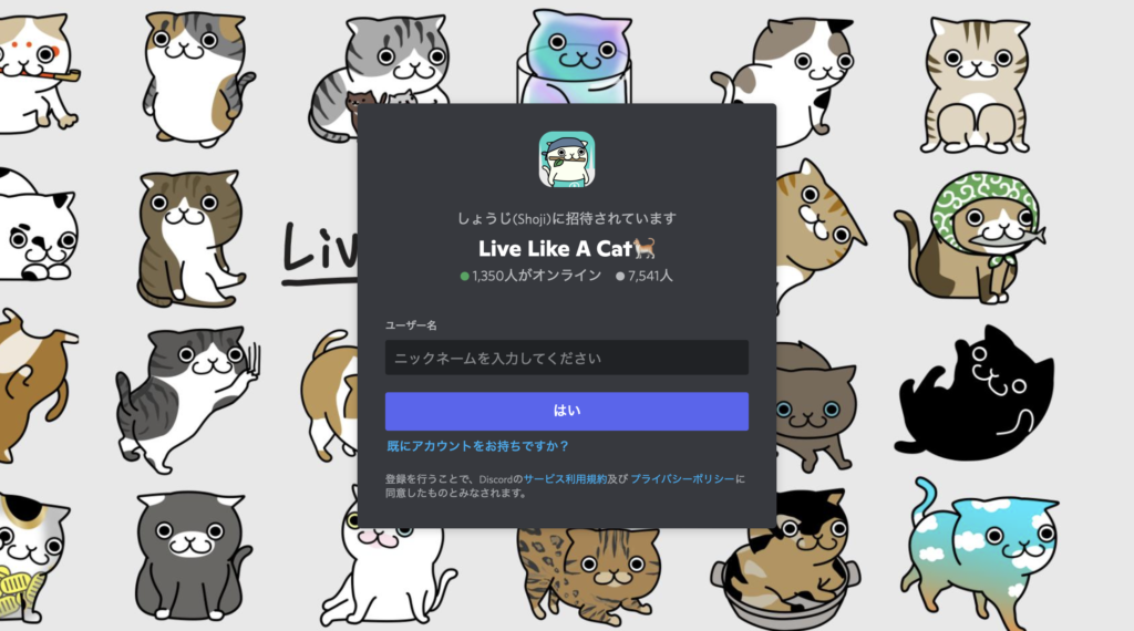Live Like A Cat Discord