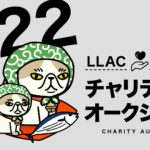 LLAC Charity Auction